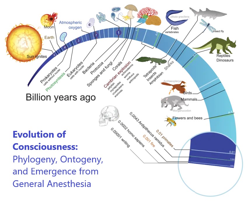 Evolution of Consciousness: Phylogeny, Ontogeny,and Emergence from General Anesthesia