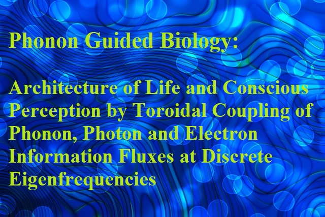 Phonon Guided Biology: Architecture of Life and Conscious Perception Are Mediated by Toroidal Coupling of Phonon, Photon and Electron Information Fluxes at Discrete Eigenfrequencies