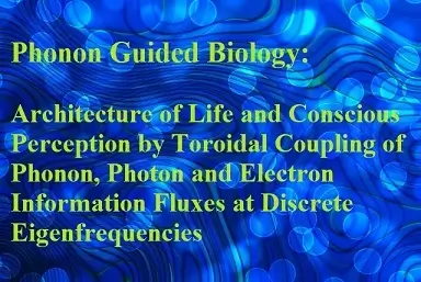 Phonon Guided Biology: Architecture of Life and Conscious Perception Are Mediated by Toroidal Coupling of Phonon, Photon and Electron Information Fluxes at Discrete Eigenfrequencies